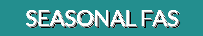 Seasonal Discounts and New Arrivals – Women's Clothing, Activewear & Top Brands